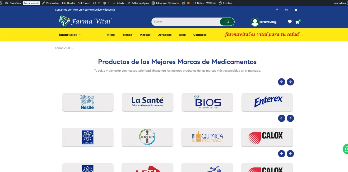 Online pharmacy catalogue developed for FarmaVital
